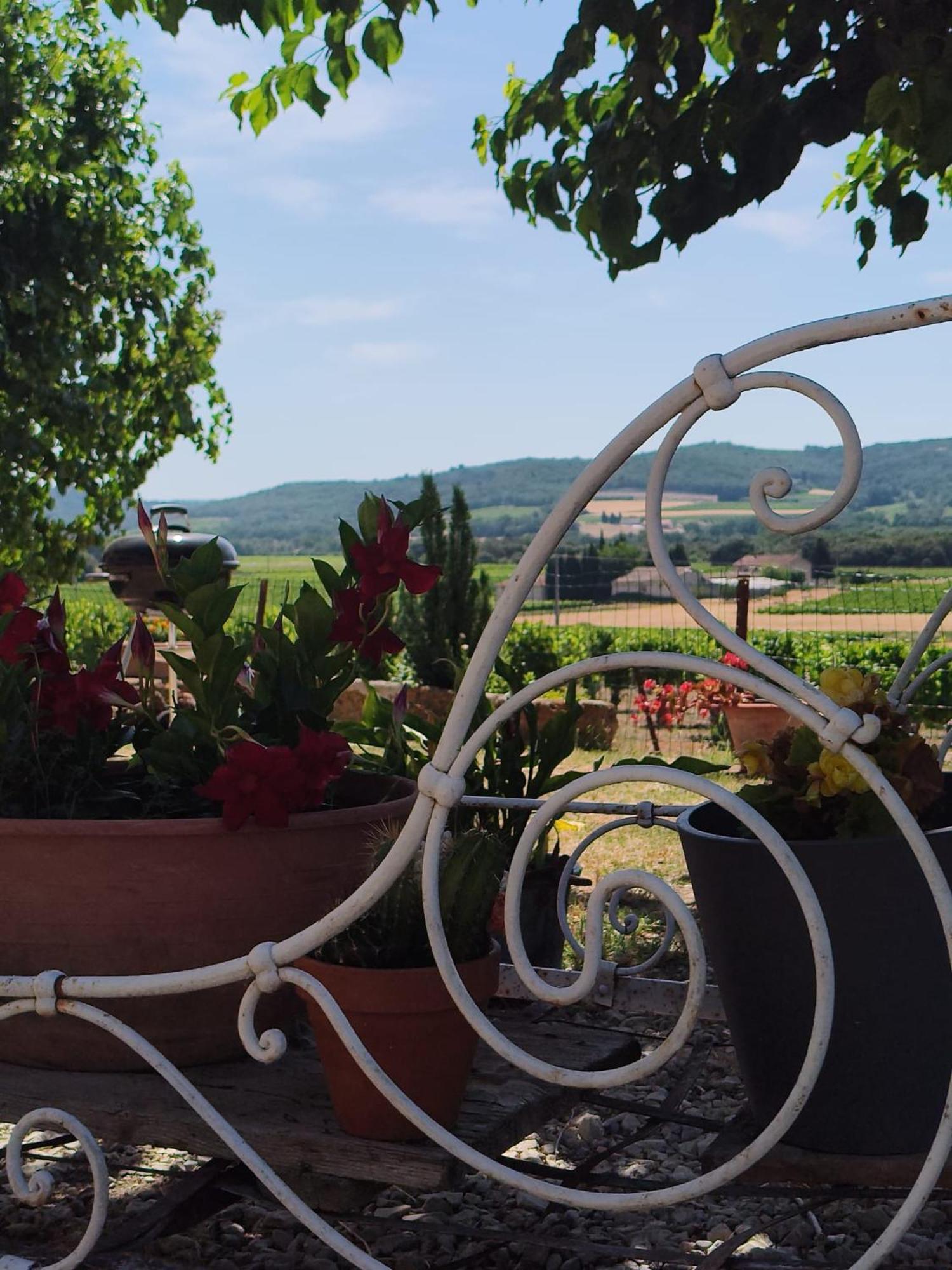 Ferme De Palumiane - Climatisees *